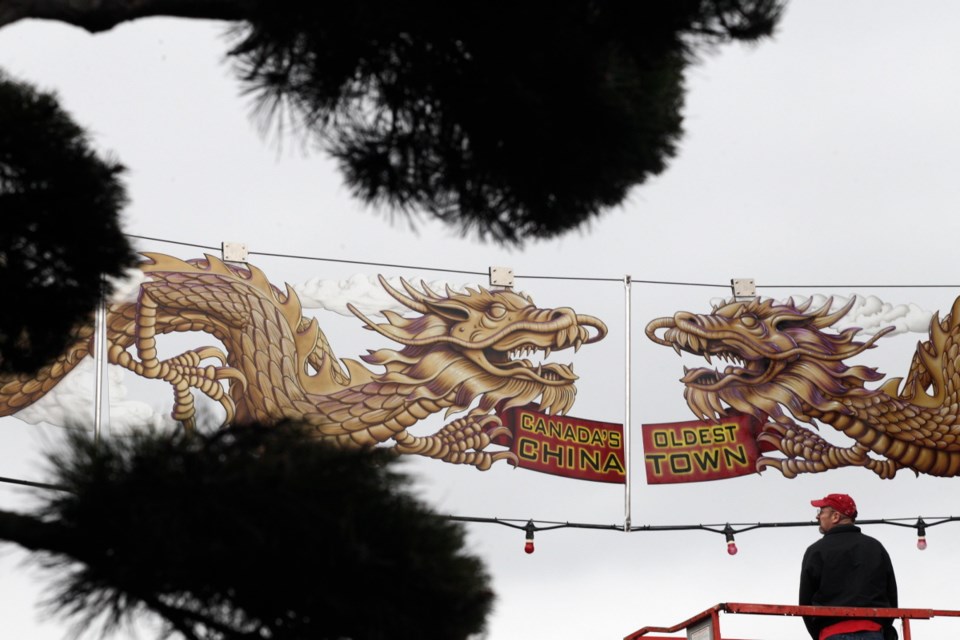 Two painted dragons are strung across Government Street, near Fisgard Street, in VictoriaÍs Chinatown on Saturday. Artist Steve Milroy spent more than 400 hours painting the six aluminum panels, which depict King Dragons on either side of a flaming pearl. The installation coincided with todayÍs lunar new year festivities, which start at noon.