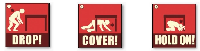 Earthquake: drop, cover and hold