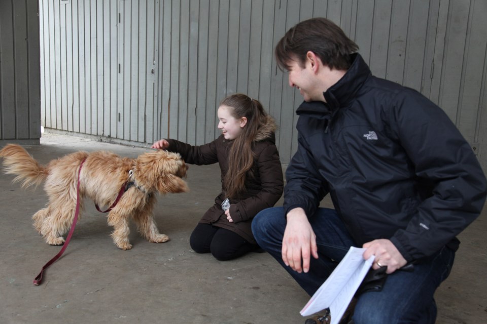 Julia MacLean and Gavin LeClaire work with Tia during dog auditions at Queen's Park for Royal City Musical Theatre's Annie.
