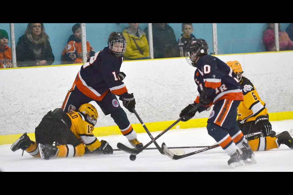 Seafair Islanders are Pacific Coast Amateur Hockey Association Pee Wee Tier One champions after capturing last week's final four tournament at the Richmond Ice Centre. The Islanders defeated Burnaby Winter Club 4-1 on Sunday in a showdown of unbeaten teams. Earlier, the Islanders got past the North Shore Winter Club (5-2) and Langley (2-1). They now prepare for for the Pee Wee Tier One Provincial Championships which start next weekend at UBC's Thunderbird Arena.