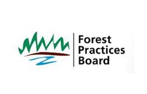 forestry-audits-find-proble.jpg