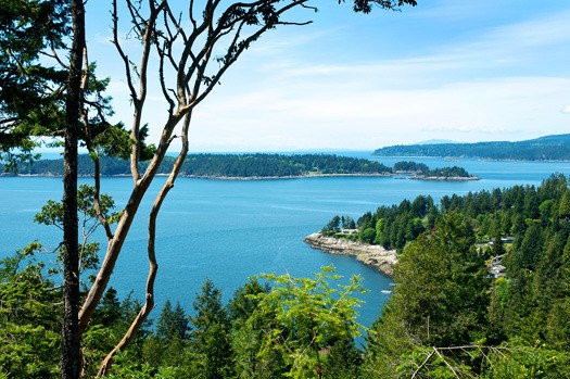 VAN201207052191377.jpg