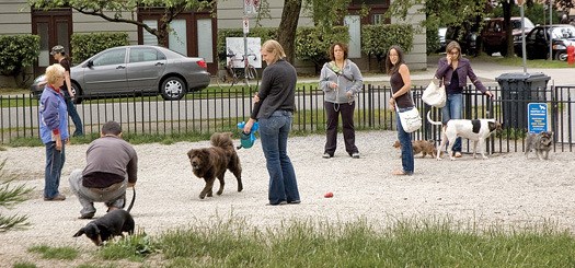 VAN201107202009816.jpg