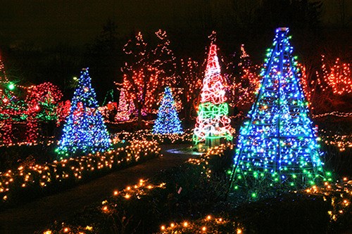 VAN201212052290318.jpg