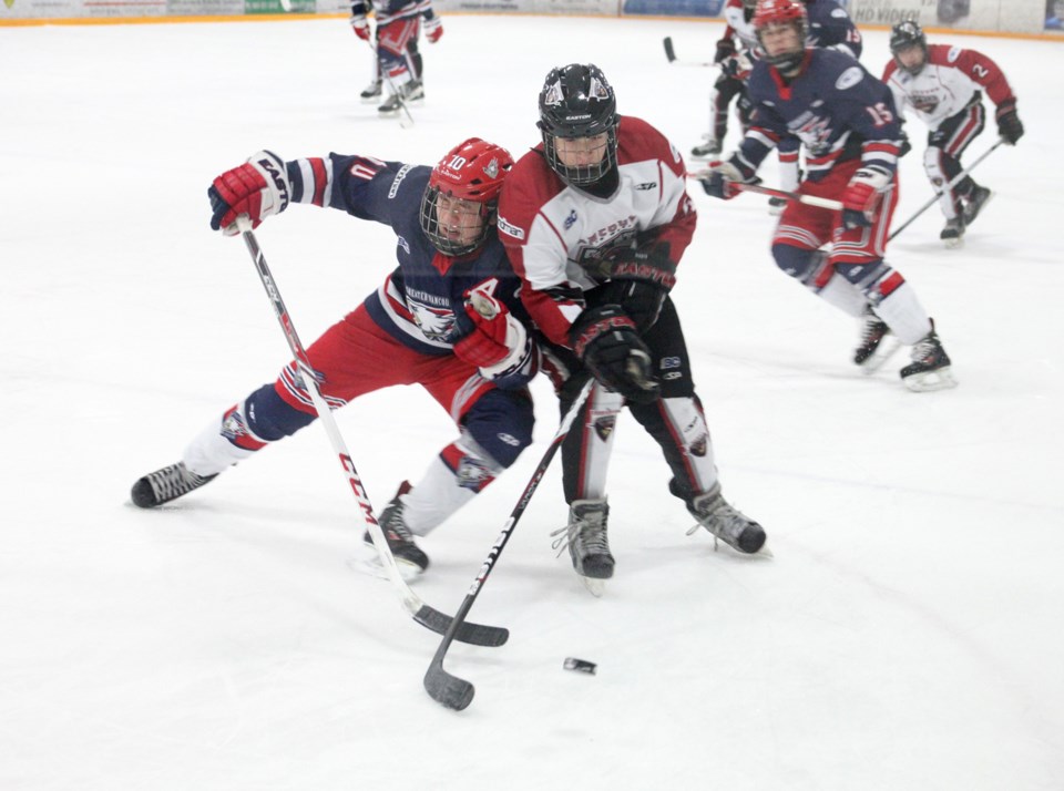 NW giants hockey