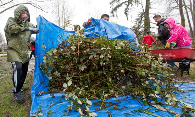 The community clean-up at Garden City Park