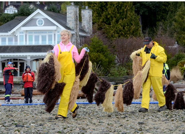 oil spill response training