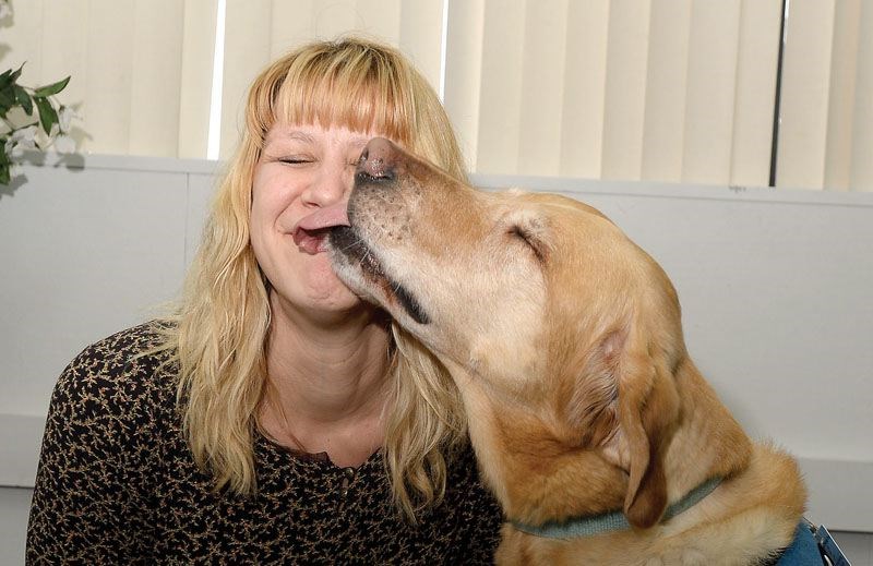 library-dogs.20.jpg