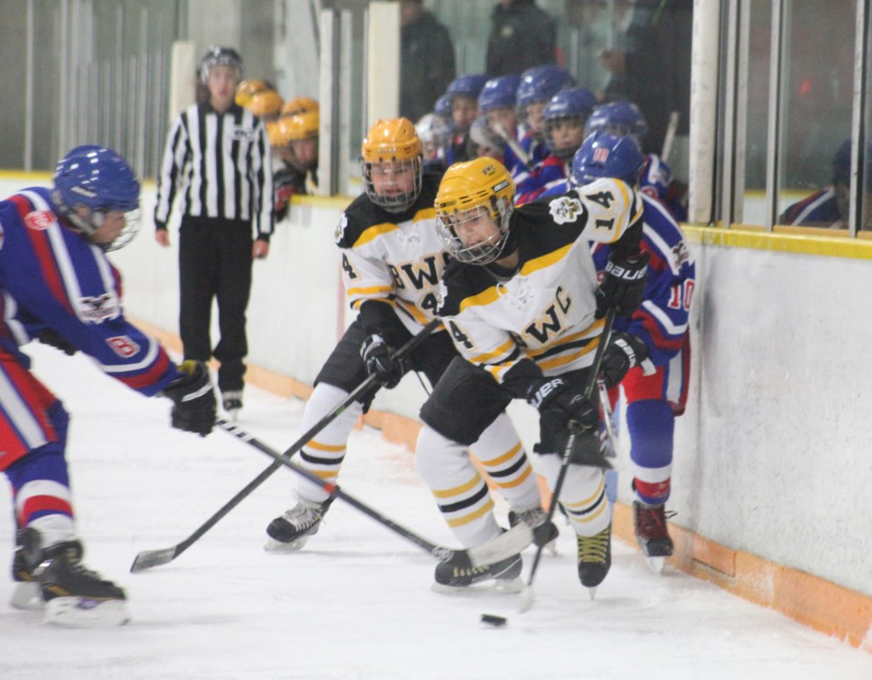 BWC pw hockey