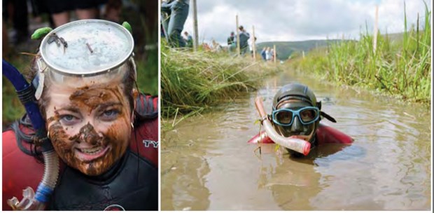 Bog snorkeling