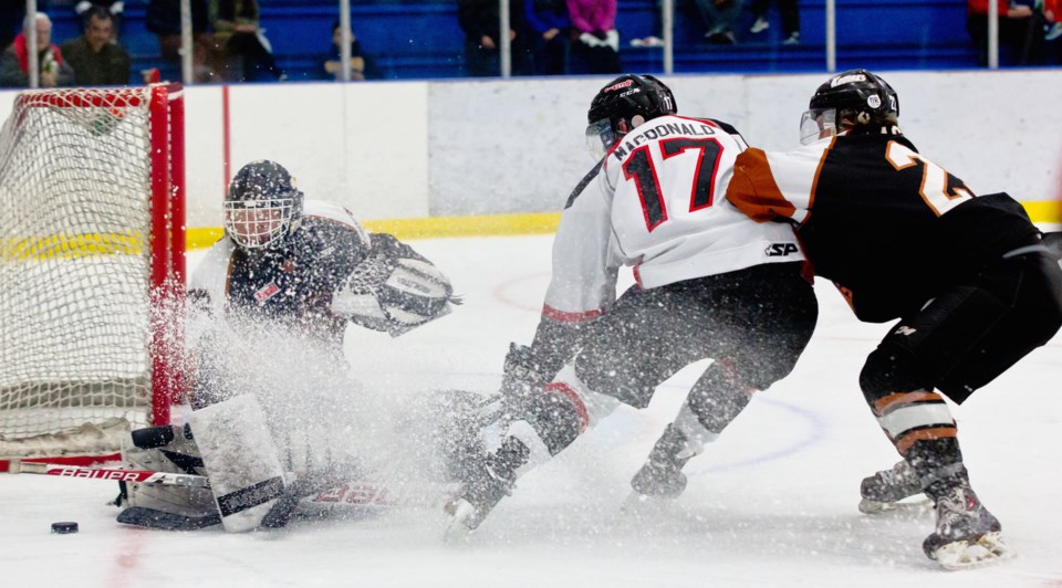 sockeyes