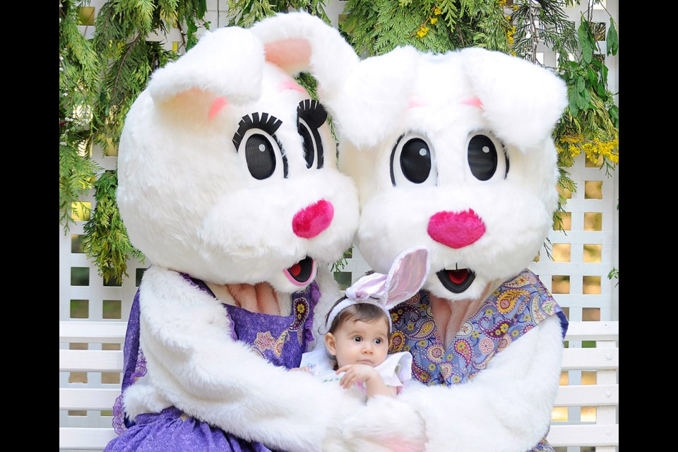 Hop to it: Nine-month-old Olive May Thomas had her photo taken with Mr. and Mrs. Bunny at the city's 2013 Easter in the Park celebrations. This year's event is set fro April 5.