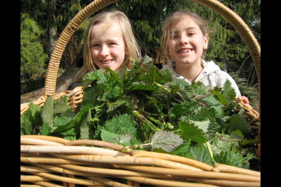 Galiano Island's Calla Shapka-Trepenning and Ella Guin-Bilney with a basket of fresh-picked stinging nettles.