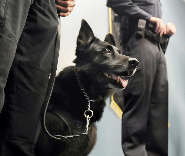 police dog