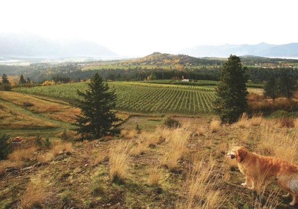 Creston Valley winery area