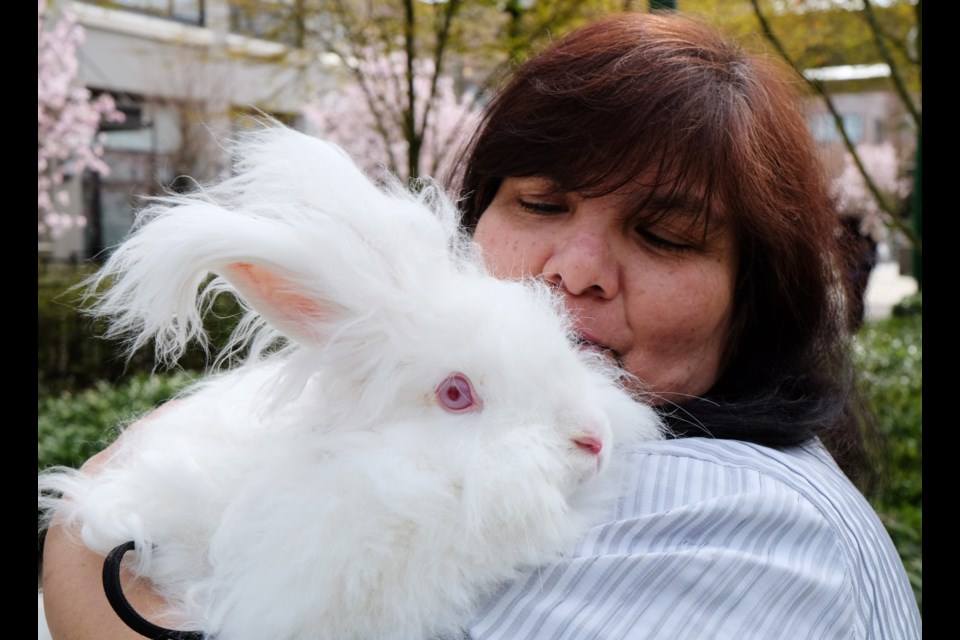 Leela Densa, bunny La Luna’s owner, brings her pet to Burnaby Hospital once a week for patients to cuddle, stroke or just watch. Photograph by: Larry Wright/BURNABY NOW