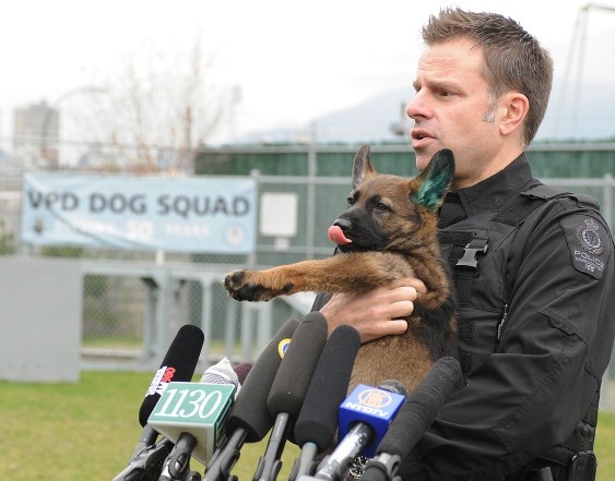 Elementary school students are choosing the names for two German shephed puppies that are the newest members of the VPD's K-9 unit.