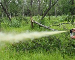 Bear spray