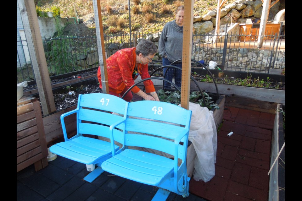 Salvaged chairs from Nat Bailey Stadium found a new home in the rooftop organic garden of This Green House in Gibsons on the Sunshine Coast. The home is one option of a number of tours offered by Catch Our Drift. Photo: Sandra Thomas