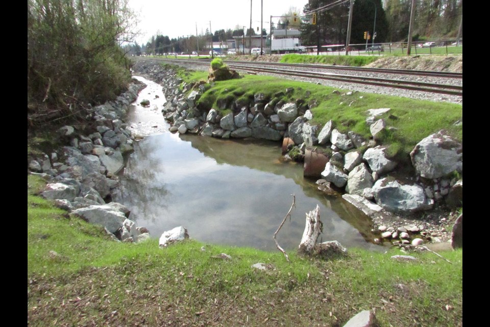 CN built up the banks of Silver Creek following a January coal train derailment, and the beaver dam that caused the tracks to fail is now gone.