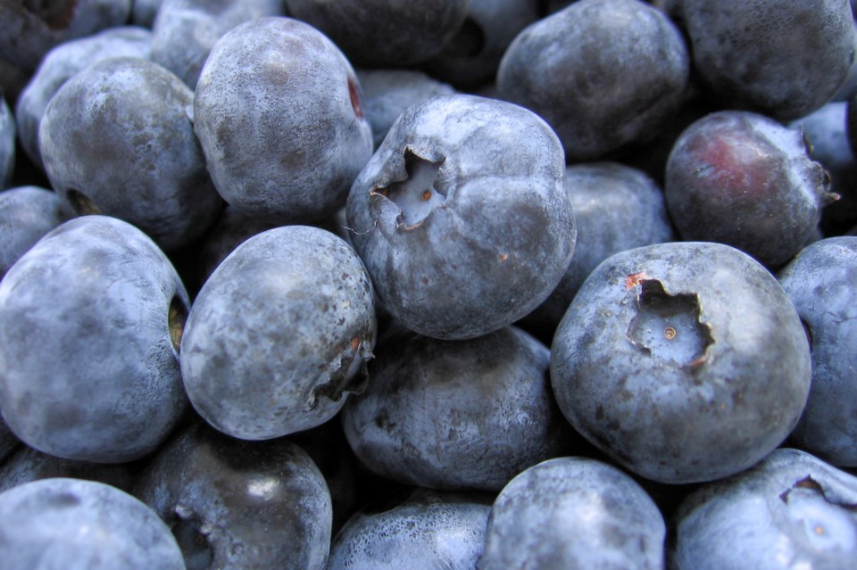 blueberries