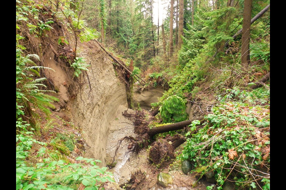 Before: John Matthews Creek had serious erosion problems and had carved a 30-foot chasm in the ravine. If left on its own, the creek would have eroded the area further, while threatening to destabilize the nearby homes.