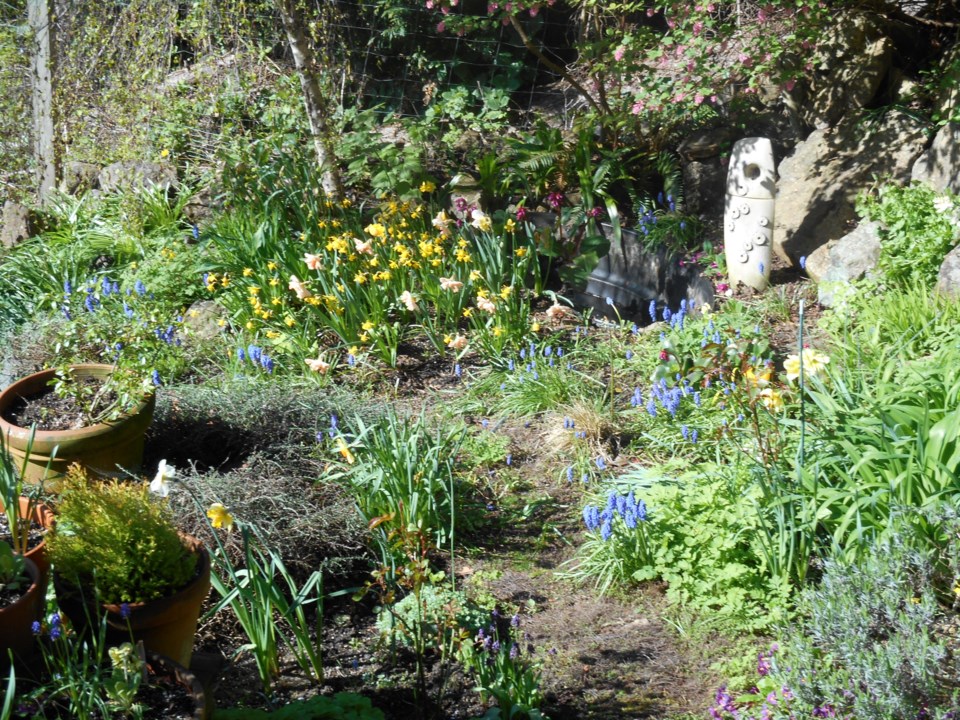 open garden