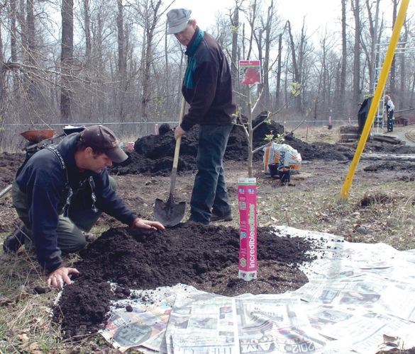 Tree-planting.28.jpg