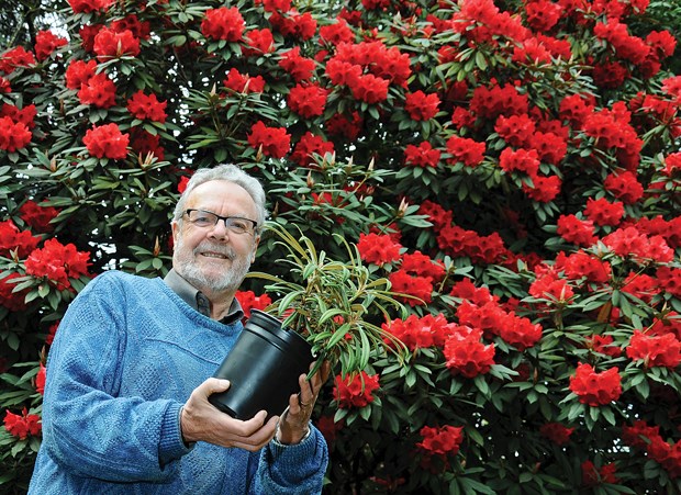 Rhodo society offers rare types