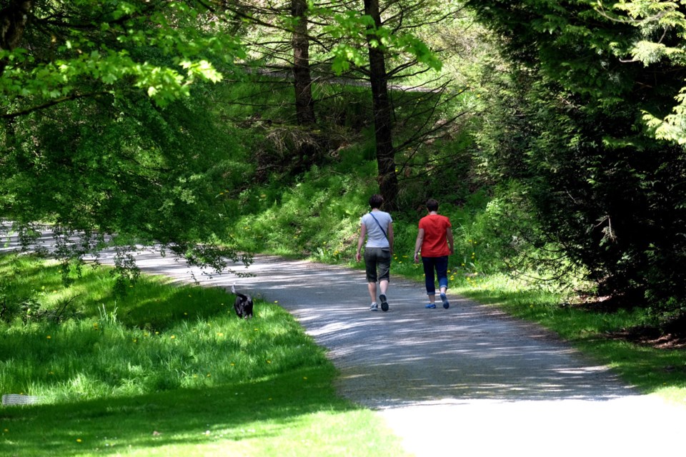 Glenbrook Ravine is one of the destinations for this weekend's Jane's Walks.