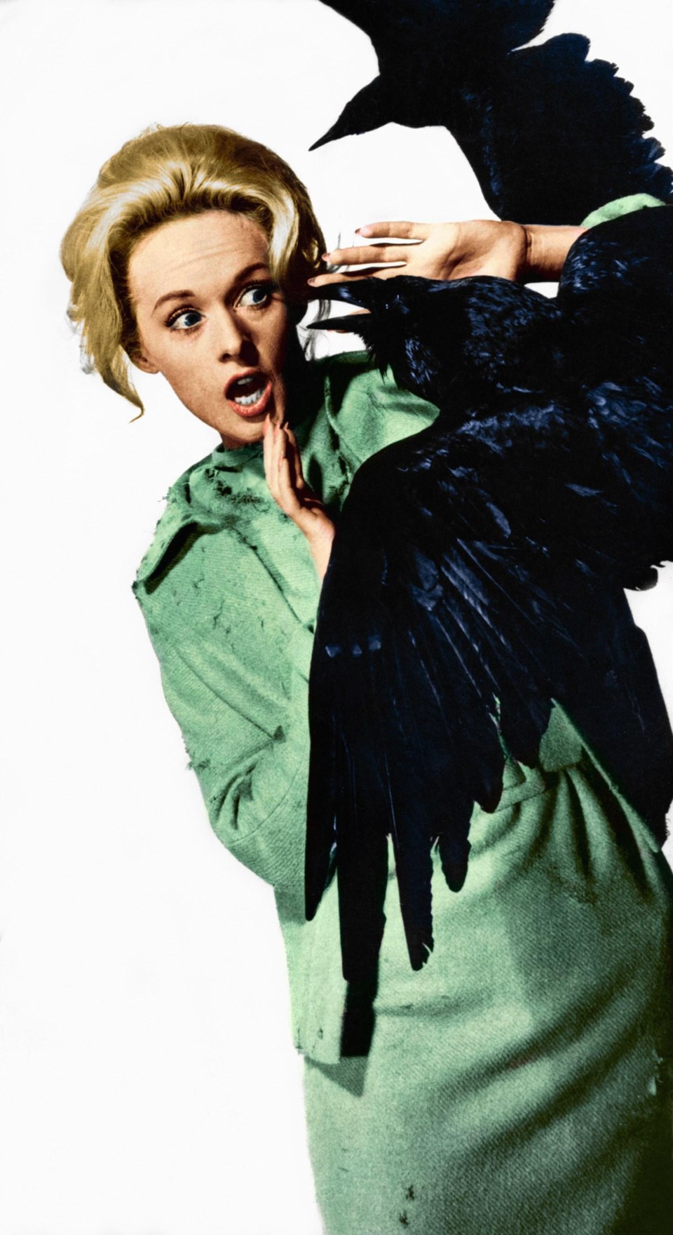 birds