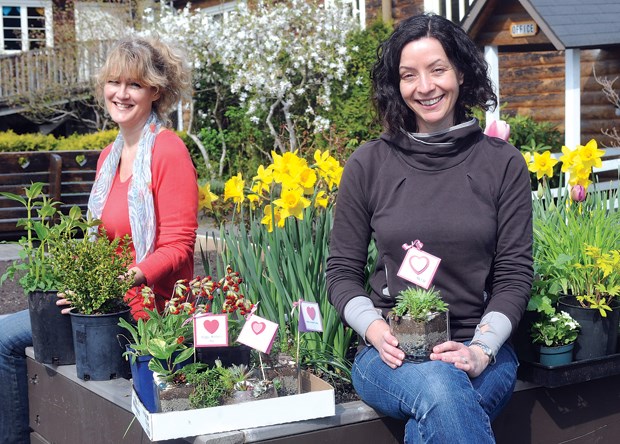 Plant Sale
