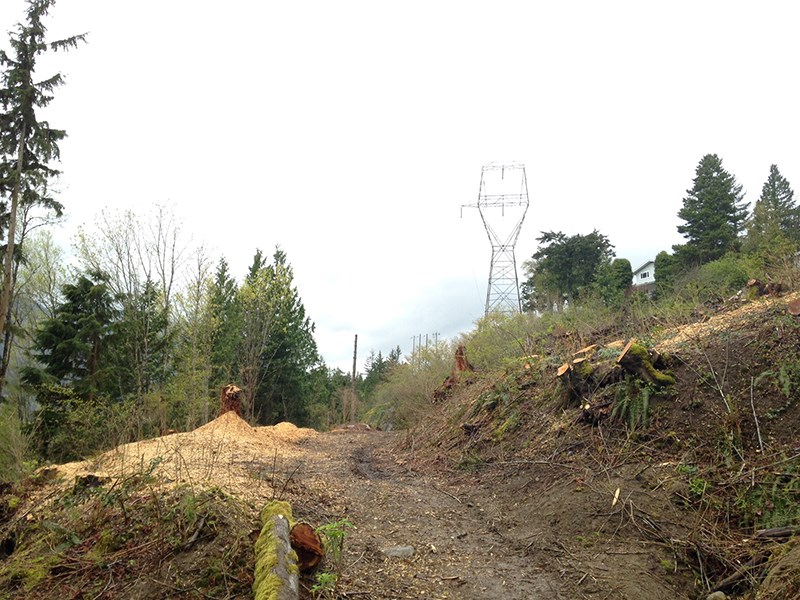 tree cleariung