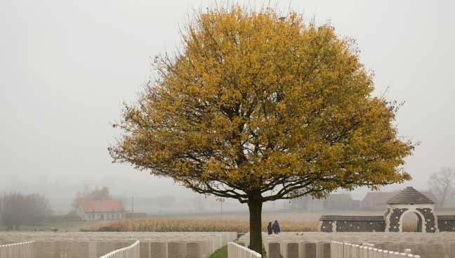 Two people walk among the headstones surrounding a tree in autumn colors at Tyne Cot Cemetery in Zonnebeke, Belgium, Tuesday, Nov. 12, 2013. Tyne Cot is the largest Commonwealth war cemetery in the world in terms of burials, with 11, 956 Commonwealth servicemen of the First World War buried. (AP Photo/Virginia Mayo)
