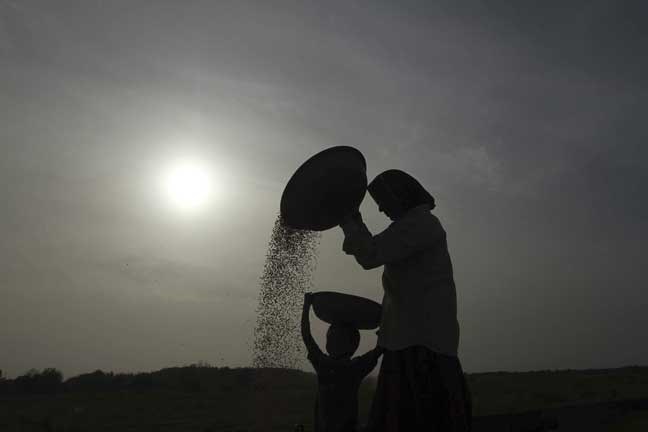 An Indian woman and a child clean harvested their wheat crop on the outskirts of Rajkot in the western state of Gujarat, India, Monday, March 11, 2013. (AP Photo/Ajit Solanki)