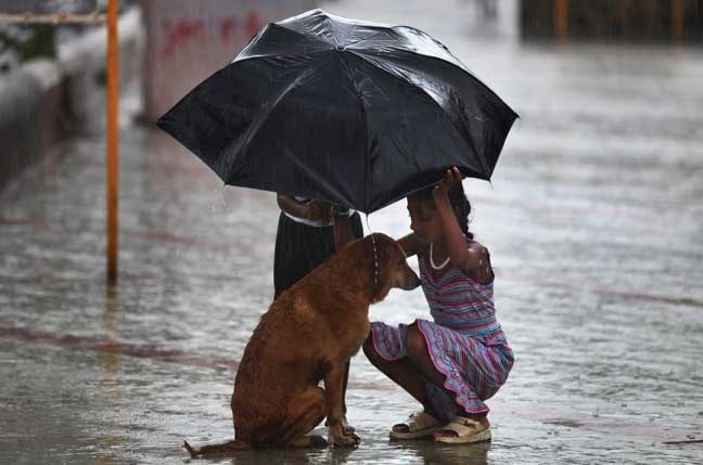A girl uses her umbrella to protect a stray dog during monsoon rains in Mumbai, India, Wednesday, June 12, 2013. (AP Photo/ Rafiq Maqbool)