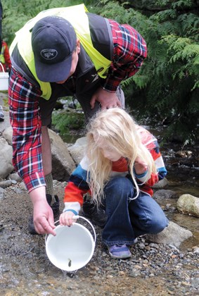 McDonald Creek streamkeepers