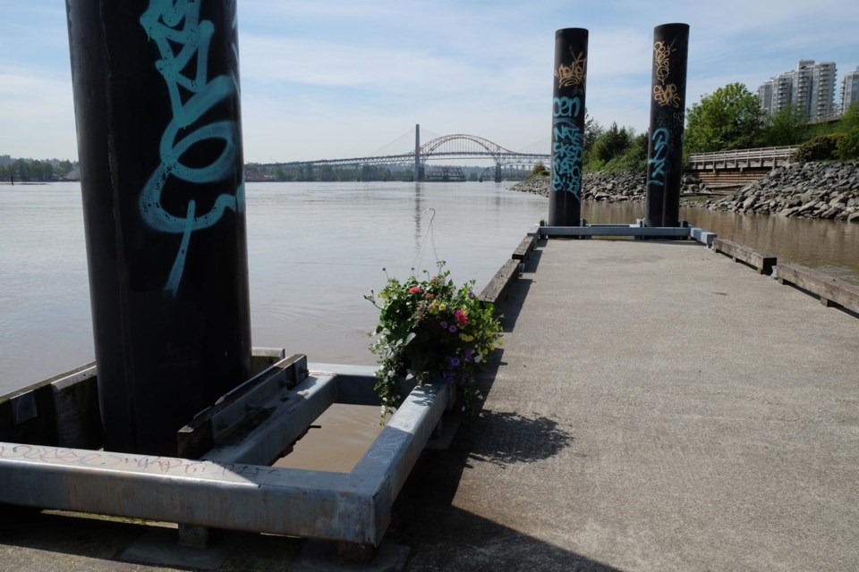Sapperton Landing, facing west and Pattullo Bridge