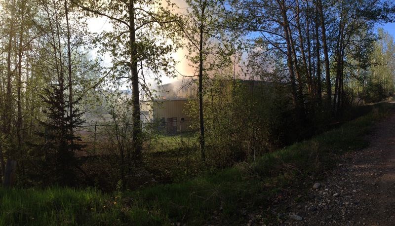 firesbrief.16.jpg