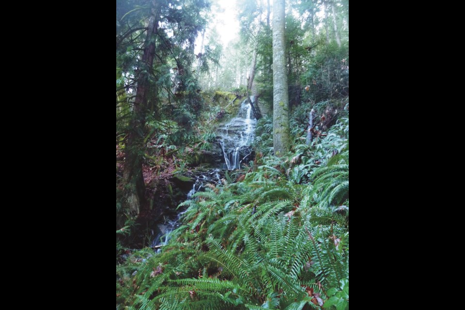 This little cascade near the beginning of the trail dries to a trickle during a hot summer is a feature of the hike at Maple Mountain.