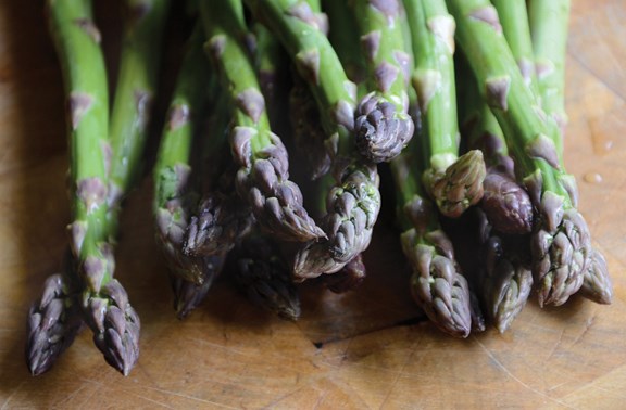 Asparagus