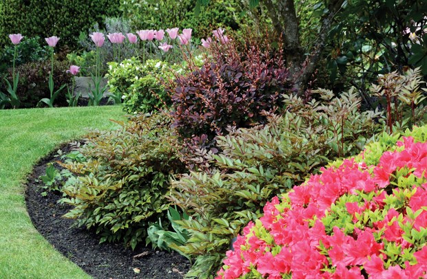 Simple steps to selecting a good landscaper