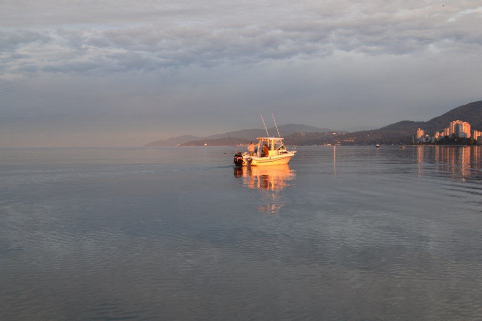 Twenty years ago, the Strait fishery contributed $750 million annually to local communities and would be glutted with fishing boats.