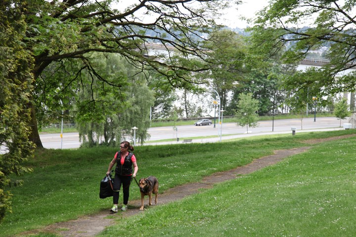Albert Crescent Park