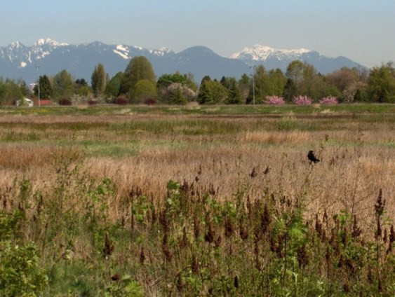 Garden City Lands