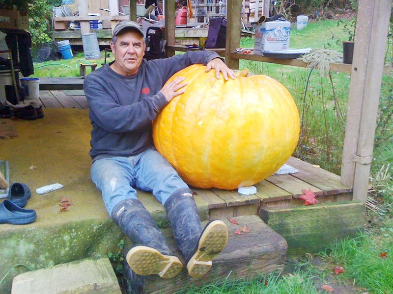 Phil Richardson, seen here with one of his prize pumpkins, was killed May 22 in a tree-falling accident on his West Bay property on Gambier Island. He was described as “the best liked man on the island.”
