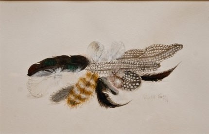 feathers