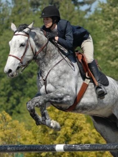 GP201010303159993AR.jpg