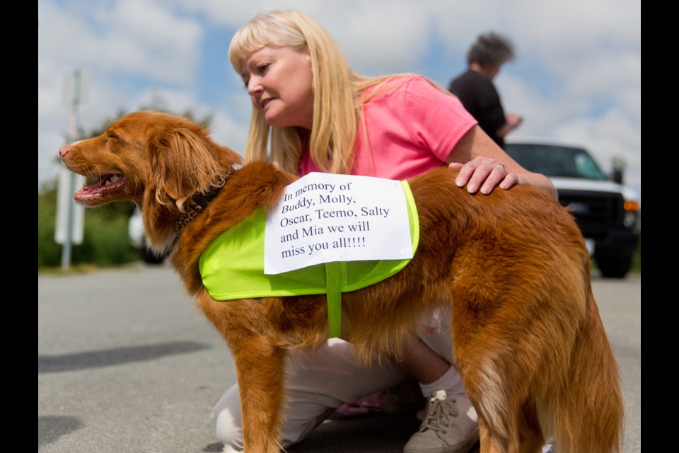Anne-Louise Bradshaw of North Delta and her dog Abby came with a message. The pair was just one of many who came out to the North 40 dog park Sunday, June 1 to pay tribute to the six Ladner dogs that died last month after being left in the back of a dog walker's truck on a hot day.