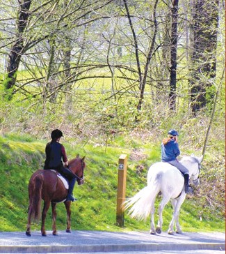 North Shore Equestrian Centre